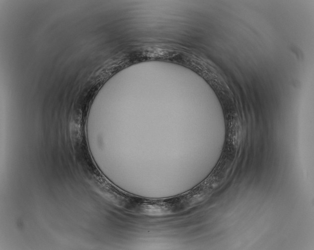 X0000110970510200907101351