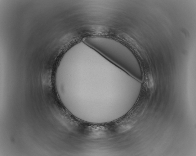 X0000110970512200907101351