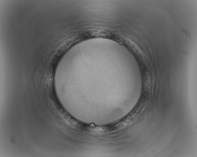 X0000110970513200907101351