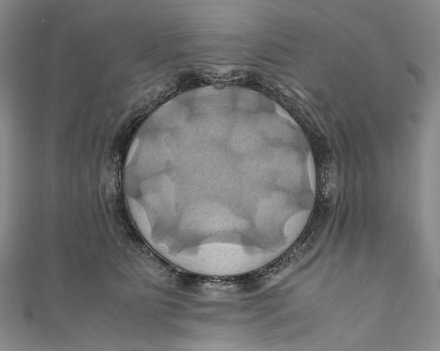 X0000110970515200907101351