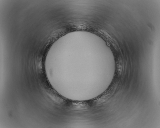 X0000110970516200907101351