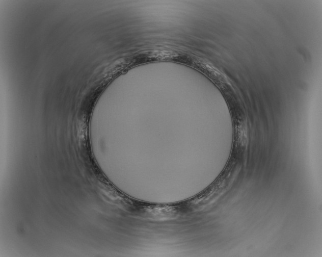 X0000110970517200907101351