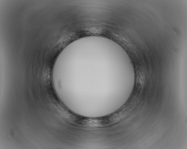 X0000110970518200907101351