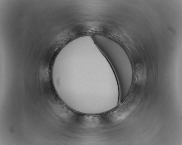 X0000110970520200907101351