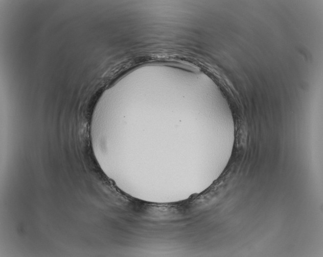 X0000110970521200907101351