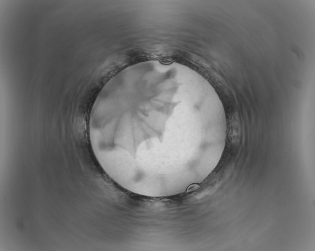 X0000110970523200907101351