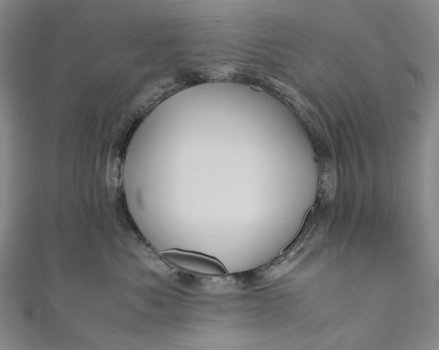 X0000110970525200907101351