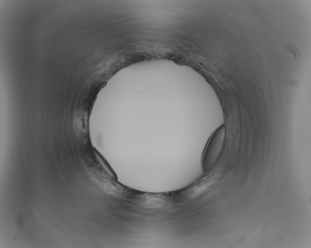 X0000110970528200907101351