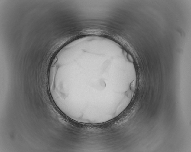 X0000110970529200907101350