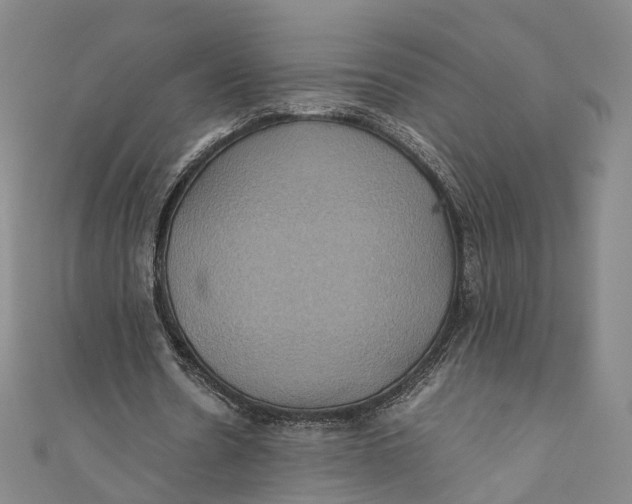 X0000110970530200907101350