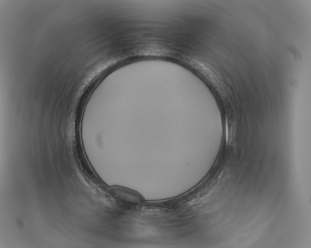 X0000110970531200907101350