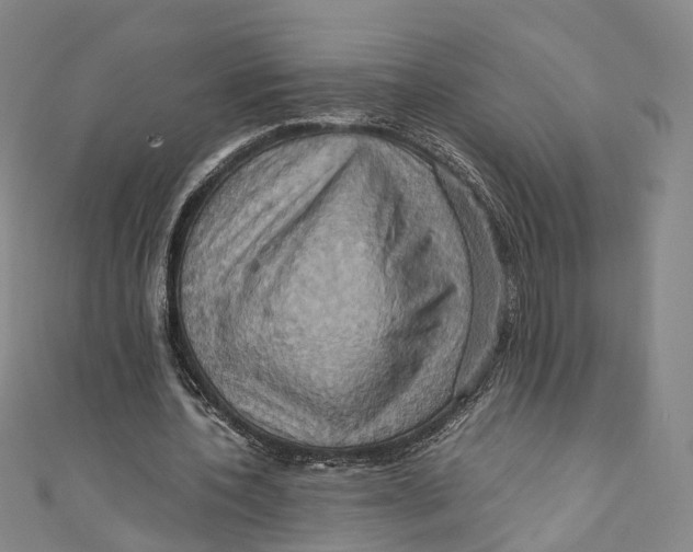 X0000110970532200907101350