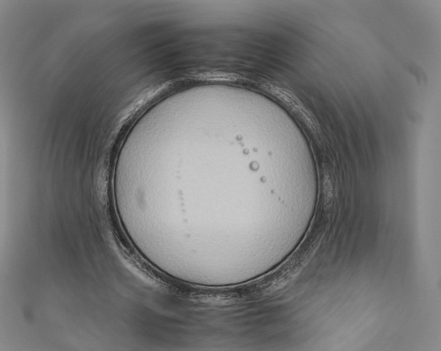 X0000110970533200907101350