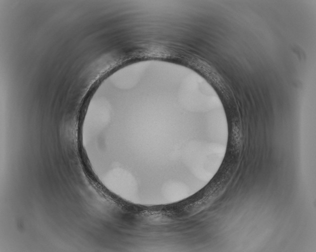 X0000110970534200907101350