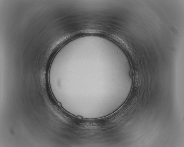 X0000110970535200907101350