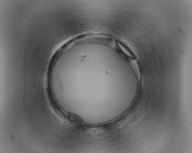 X0000110970536200907101350