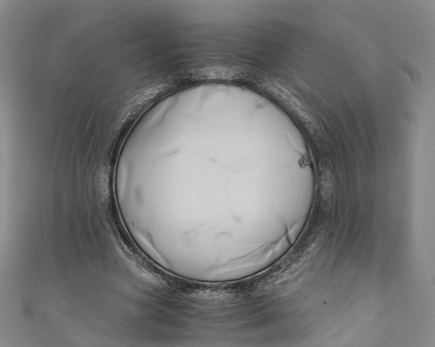 X0000110970537200907101350