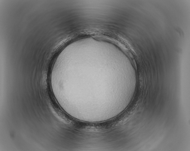 X0000110970538200907101350