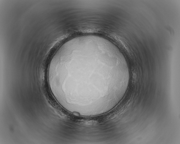 X0000110970539200907101350