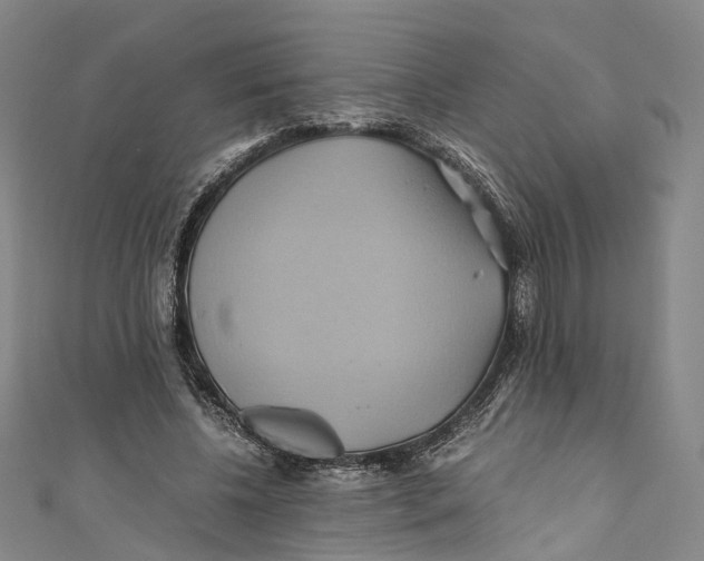 X0000110970540200907101350