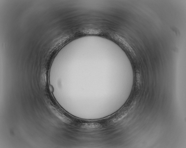 X0000110970541200907101350