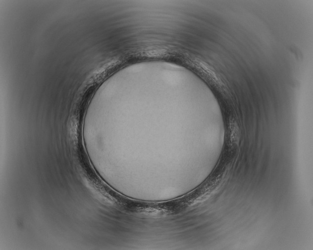 X0000110970542200907101351