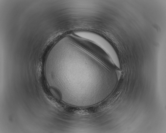 X0000110970544200907101351