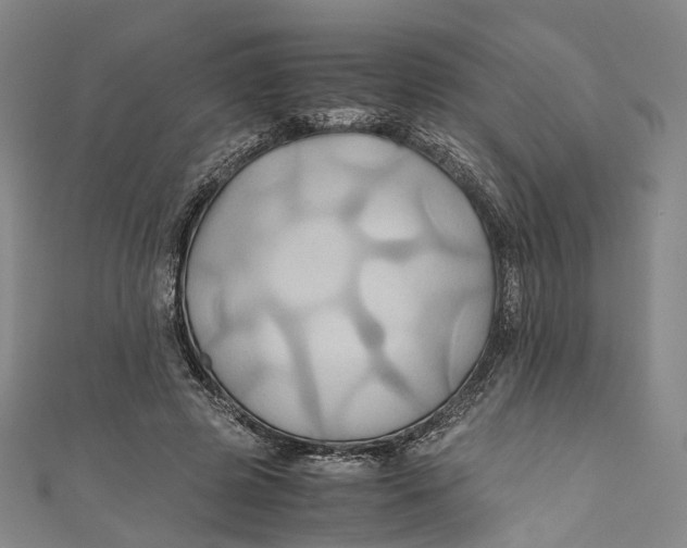 X0000110970545200907101351