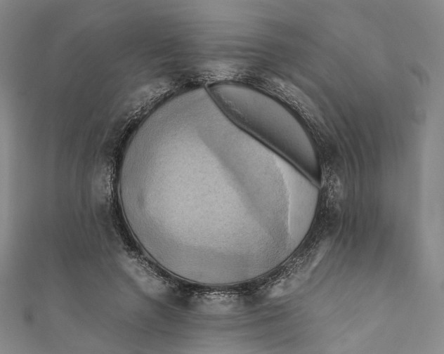 X0000110970546200907101351