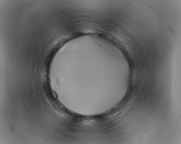 X0000110970547200907101351