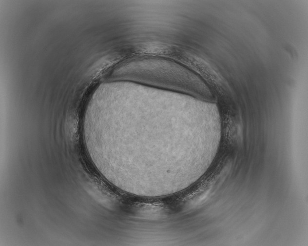 X0000110970548200907101351