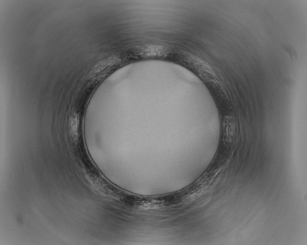 X0000110970550200907101351