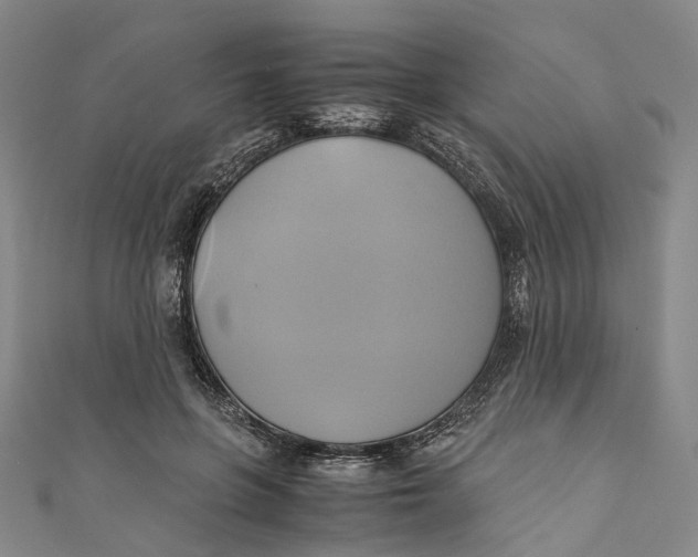 X0000110970551200907101351