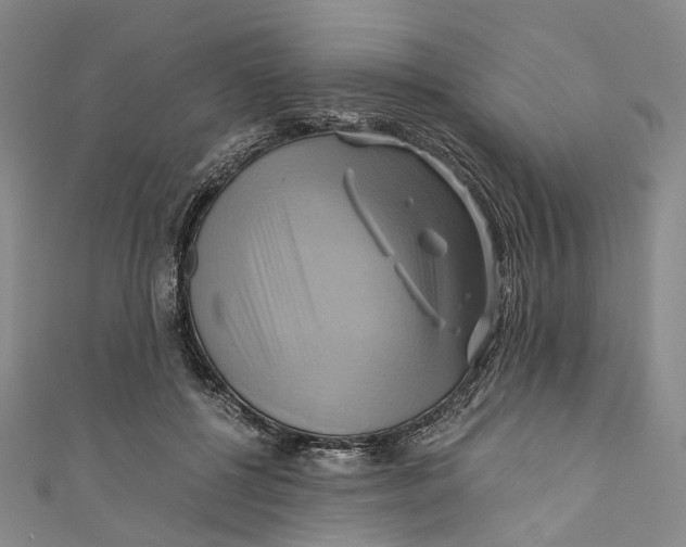 X0000110970552200907101351