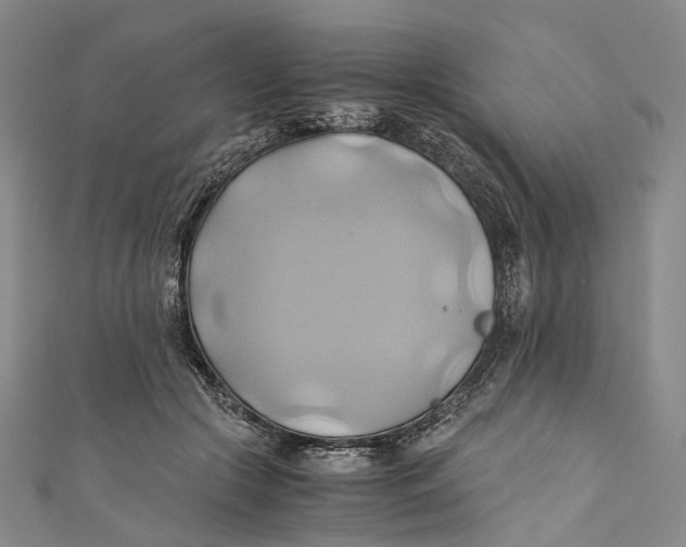 X0000110970553200907101351