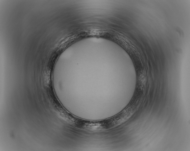 X0000110970554200907101351