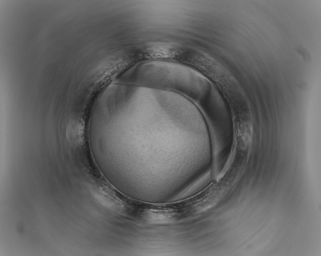 X0000110970556200907101351