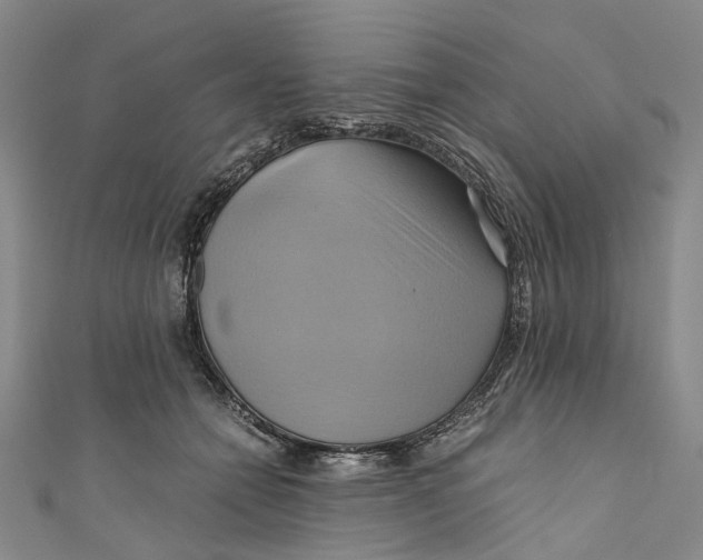 X0000110970558200907101351