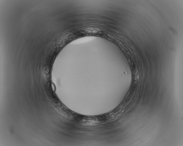 X0000110970559200907101351