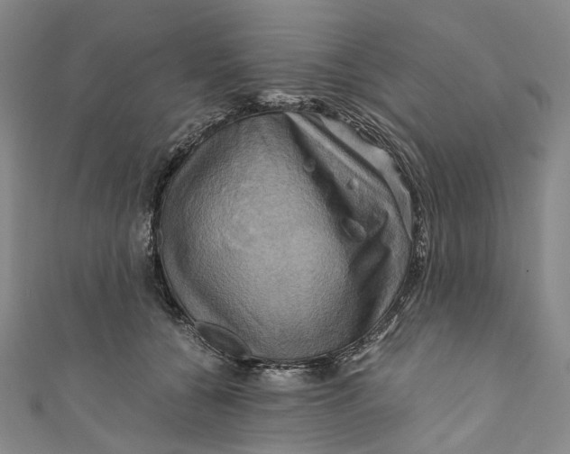 X0000110970560200907101351