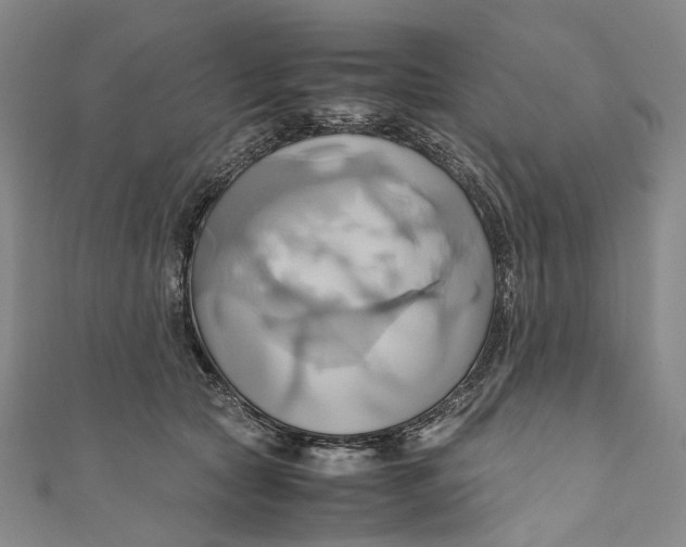 X0000110970561200907101351