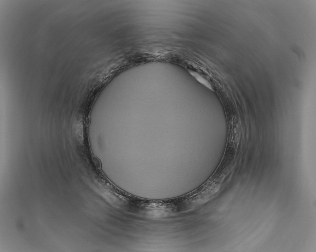 X0000110970562200907101351