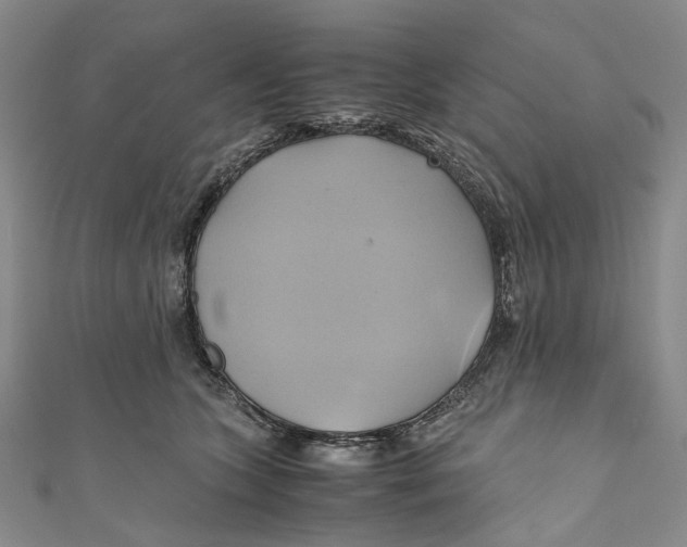 X0000110970563200907101351