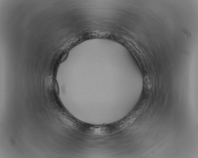 X0000110970564200907101351