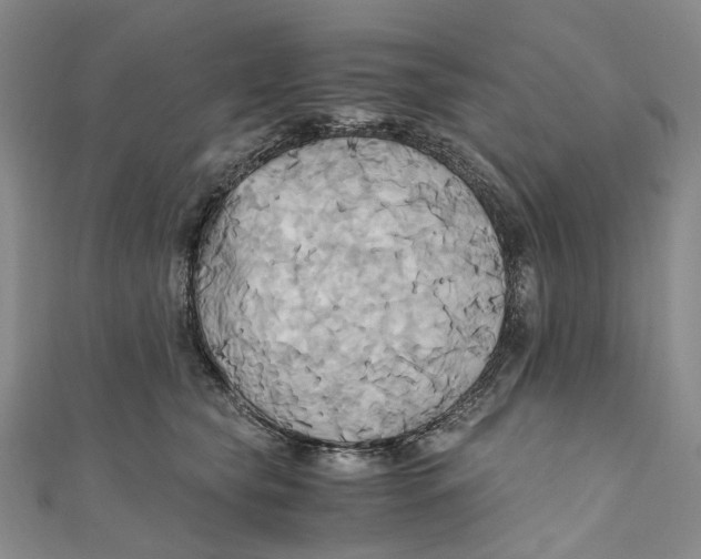 X0000110970565200907101351