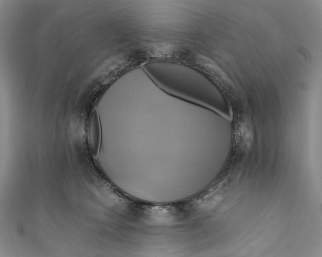 X0000110970566200907101351