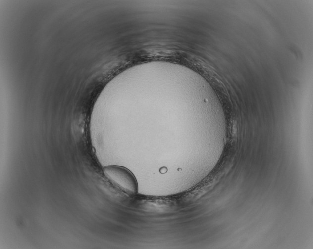 X0000110970567200907101351