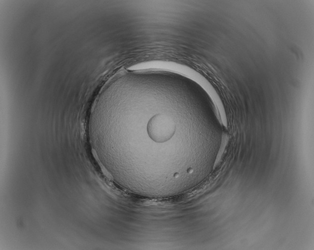 X0000110970568200907101351