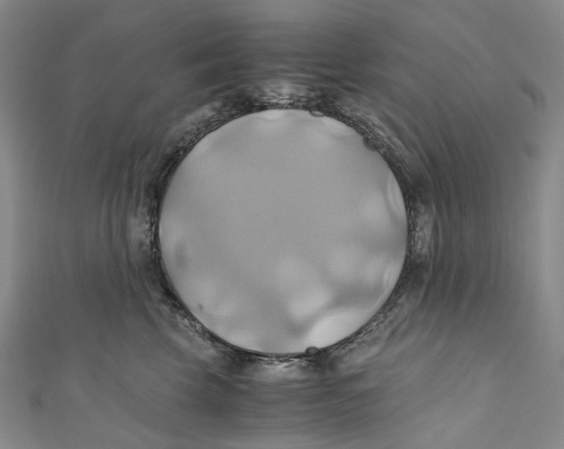 X0000110970569200907101351