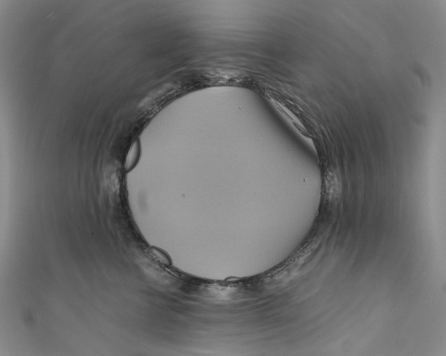 X0000110970570200907101351